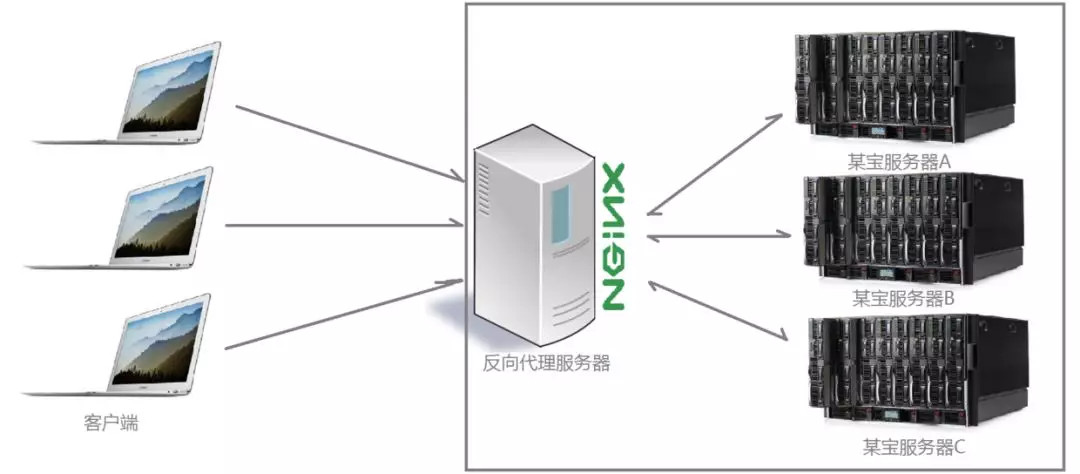 Nginx的应用场景是什么