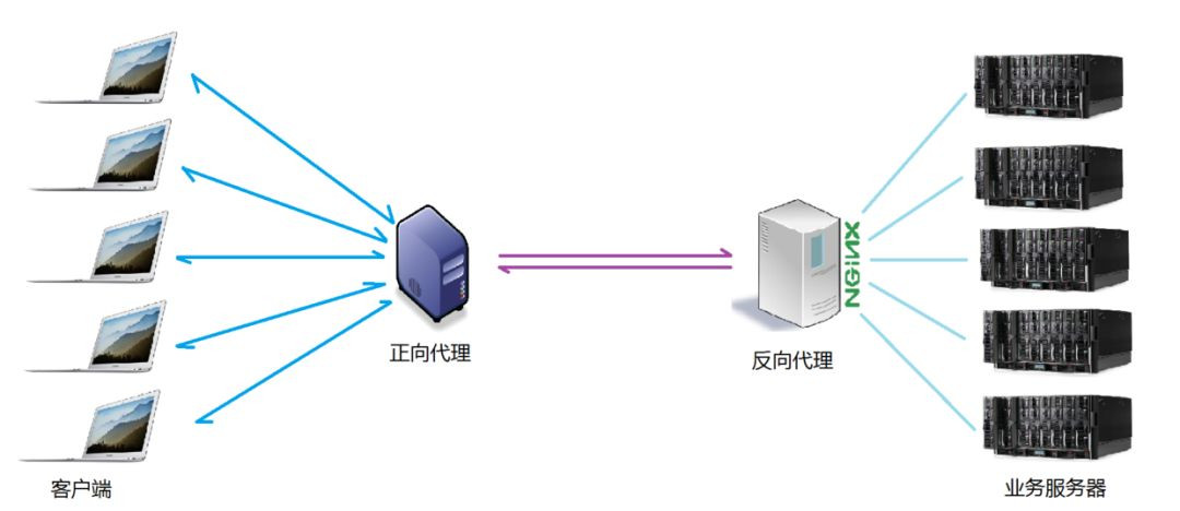 Nginx的应用场景是什么