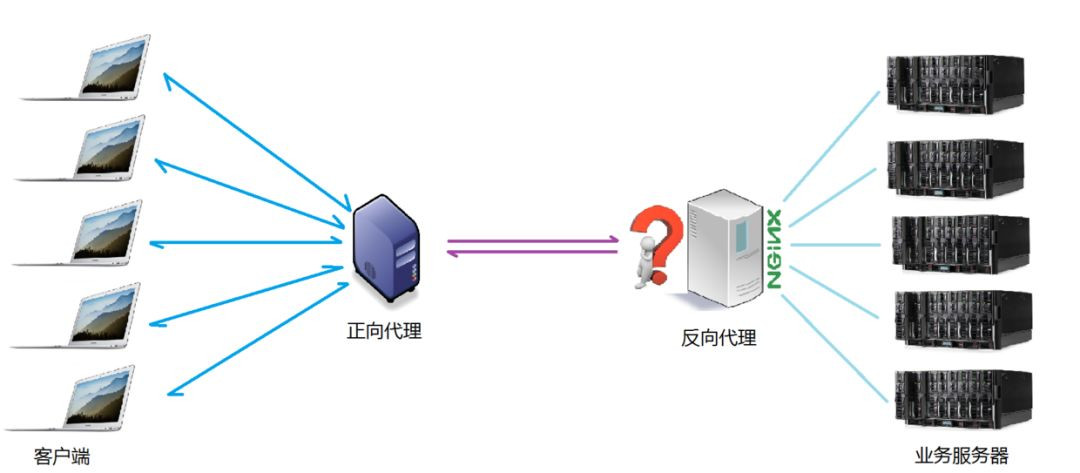 Nginx的应用场景是什么