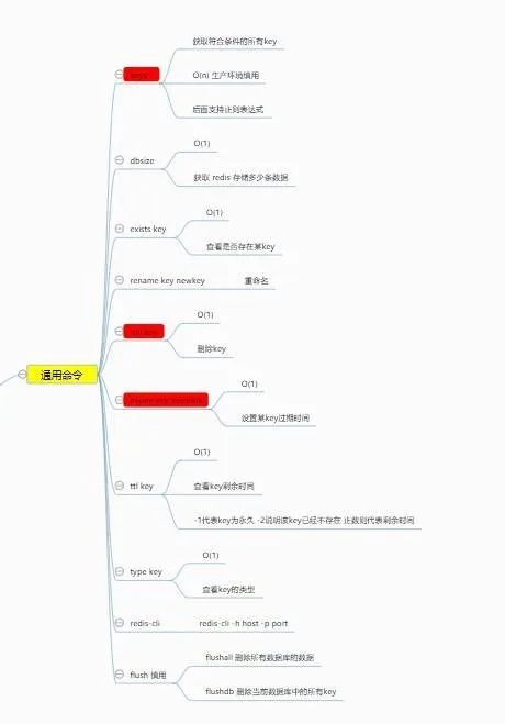 Redis和NoSQL分别是什么？