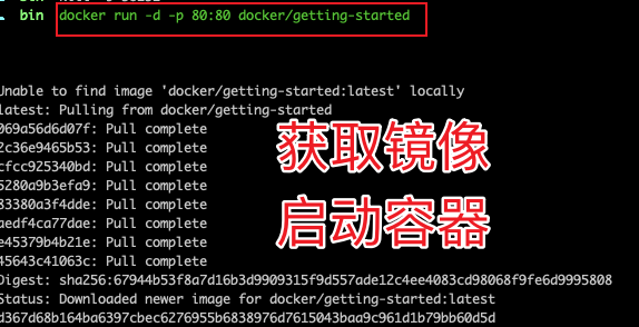 怎么在M1上使用Docker