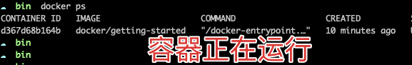 怎么在M1上使用Docker