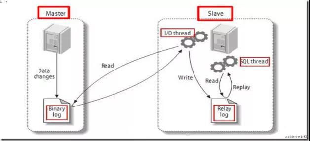 MySQL主从复制重点知识整理