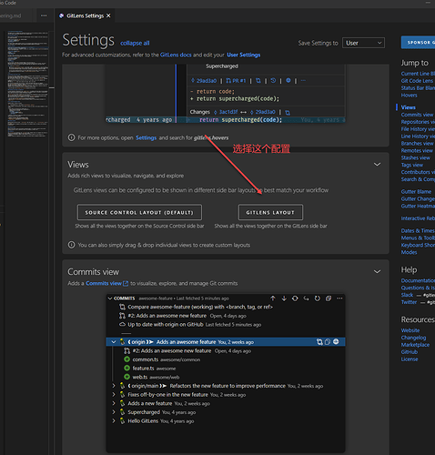 VSCode 中 GitLens插件的作用是什么