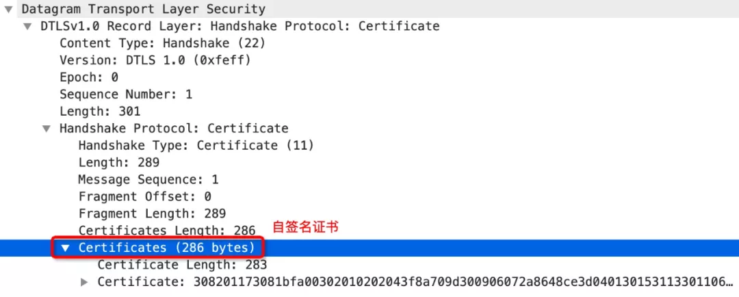 DTLS Fragment的功能介绍