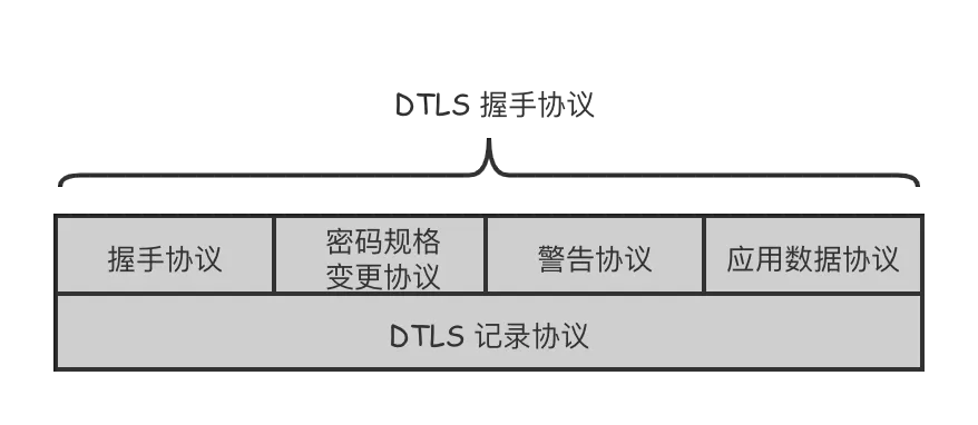 DTLS Fragment的功能介绍