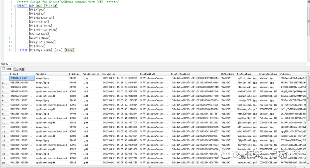 ASP.NET Core中WebApi+EF Core輕量級(jí)文件系統(tǒng)的作用及用法是怎樣的