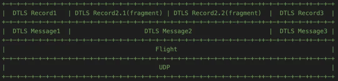 DTLS Fragment的功能介绍