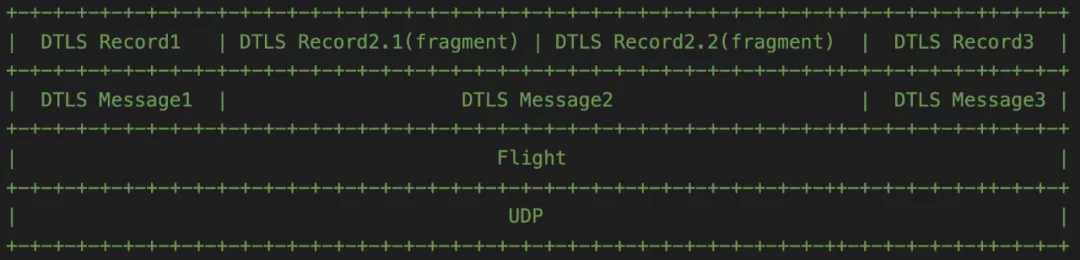 DTLS Fragment的功能介紹