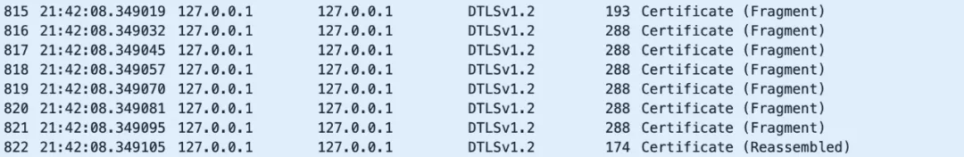 DTLS Fragment的功能介紹