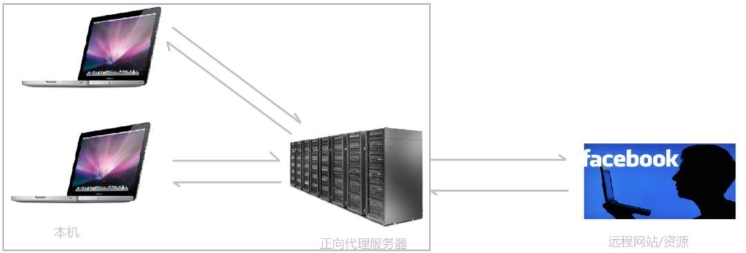 如何实现反向代理、负载均衡