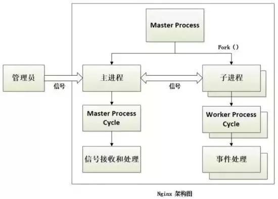 Nginx为什么能支持高并发