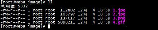 Nginx 中怎么实现动静分离与负载均衡