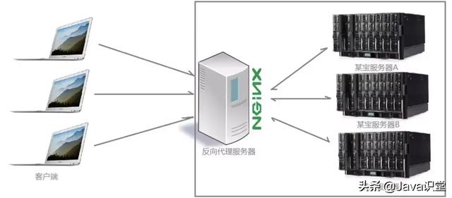 Nginx的作用有哪些