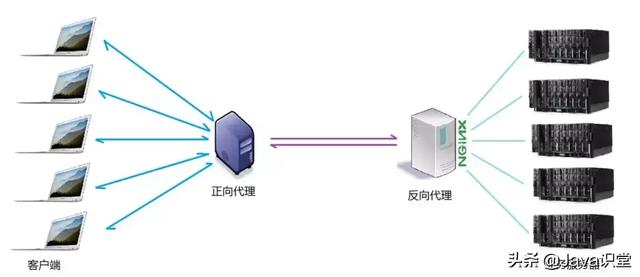 Nginx的作用有哪些