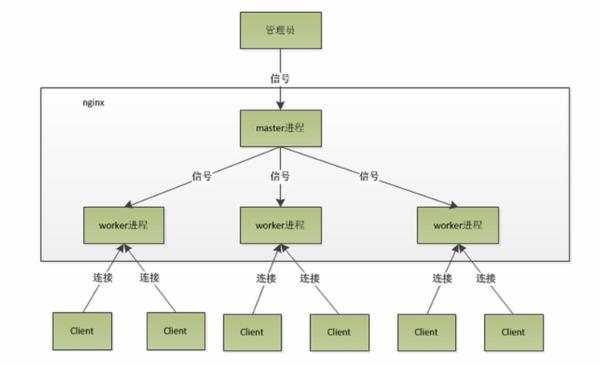 怎么借助Nginx搭建反向代理服务器