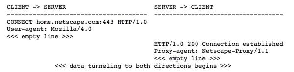 如何使用Nginx作为HTTPS正向代理服务器