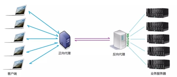 Nginx的作用是什么