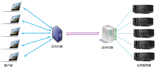 Nginx能干什么