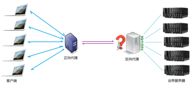 Nginx能干什么