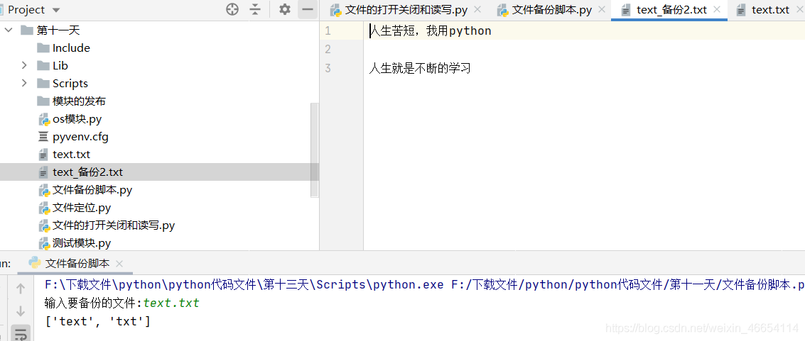 python中如何对文件进行操作