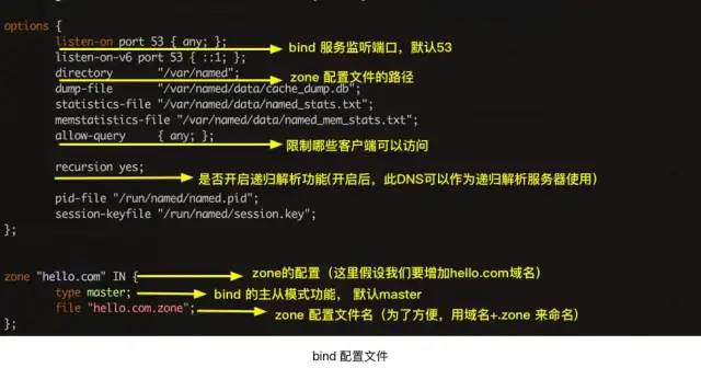 DNS的特點和作用是什么