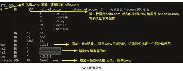 DNS的特點和作用是什么