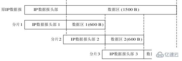 ip数据报的格式有什么