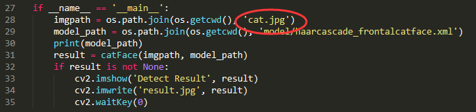 Python中怎么利用OpenCV实现猫脸检测