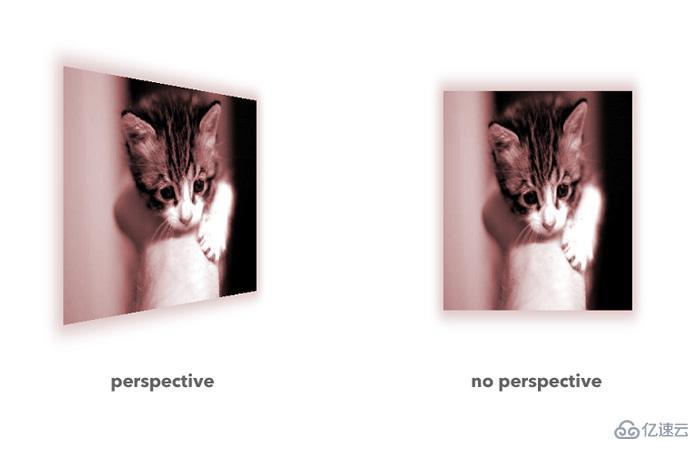 css中perspective属性和perspective()函数的异同点有哪些