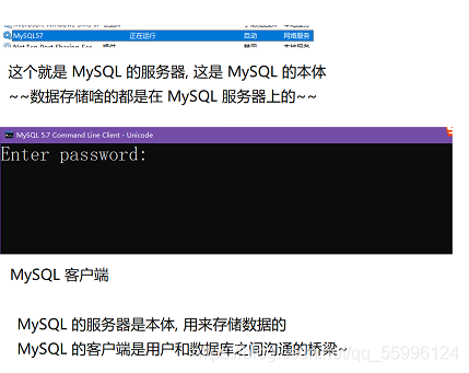 MySQL数据库基础知识总结