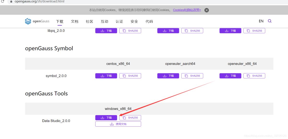 gaussdb 200如何安装data studio jdbc idea链接