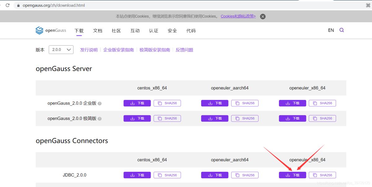 gaussdb 200如何安装data studio jdbc idea链接