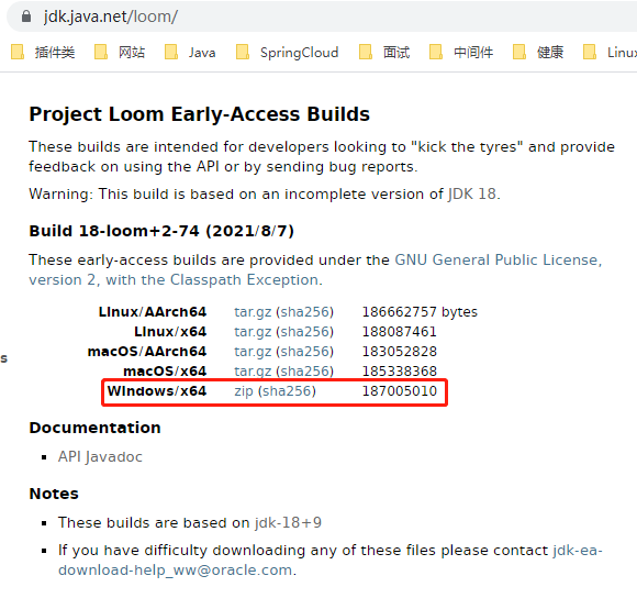 Java协程编程之Loom项目的示例分析