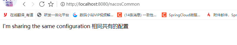 SpringBoot如何使用Nacos Config实现多环境切换