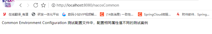 SpringBoot如何使用Nacos Config实现多环境切换