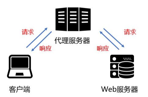 爬虫代理IP的基础原理以及代理的作用是什么