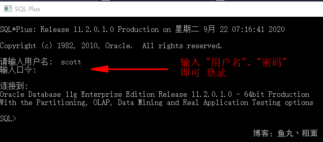 sqlplus命令登录Oracle数据库的方法有哪些