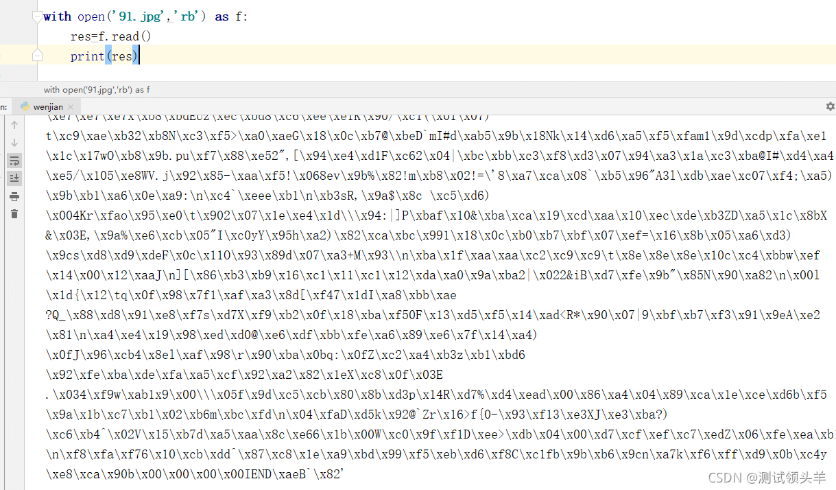 Python中如何操作文件