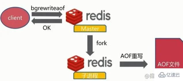 redis中RDB和AOP持久化是什么