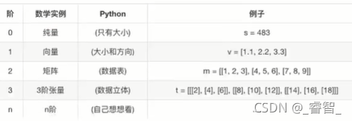 TensorFlow神经网络中张量与变量的概念分析