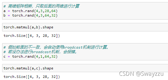 Pytorch进阶操作的示例分析