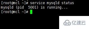 linux如何查看mysql是否启动