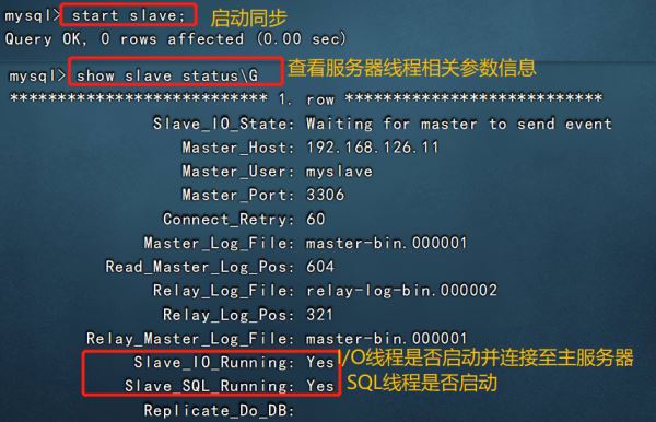 Mysql数据库的主从复制与读写分离怎么实现