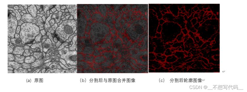 Python中Unet语义分割模型的示例分析