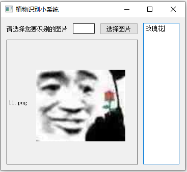 基于Python如何实现植物识别小系统