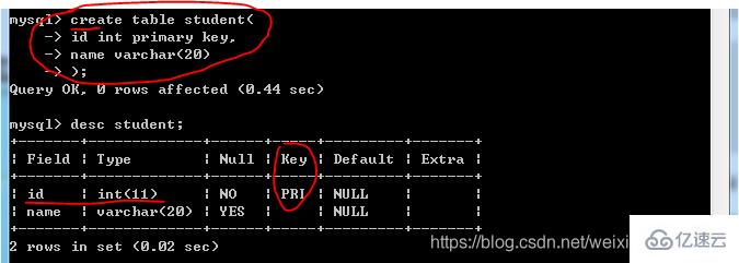 MySQL中的基础知识点有哪些