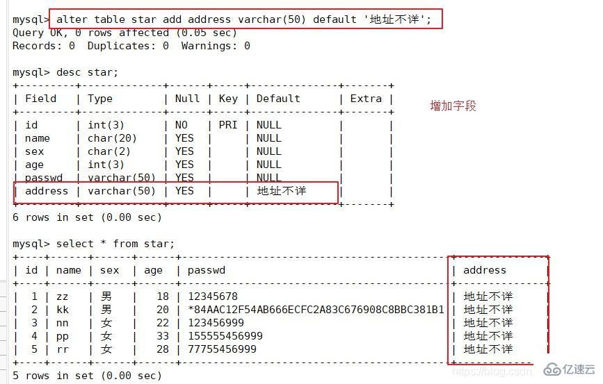 MySQL数据库的基本命令有哪些