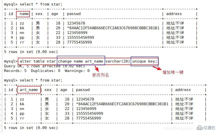 MySQL数据库的基本命令有哪些