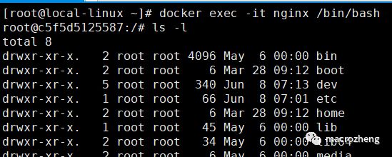 開發(fā)者必備Docker命令有哪些